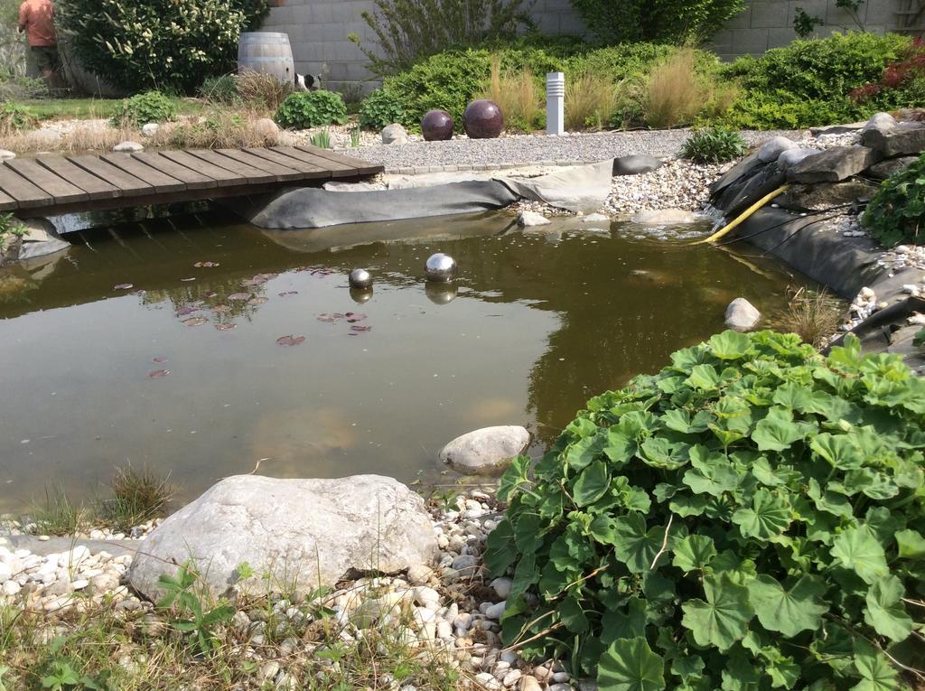 Lakeside Villa Frauenkirchen Dış mekan fotoğraf