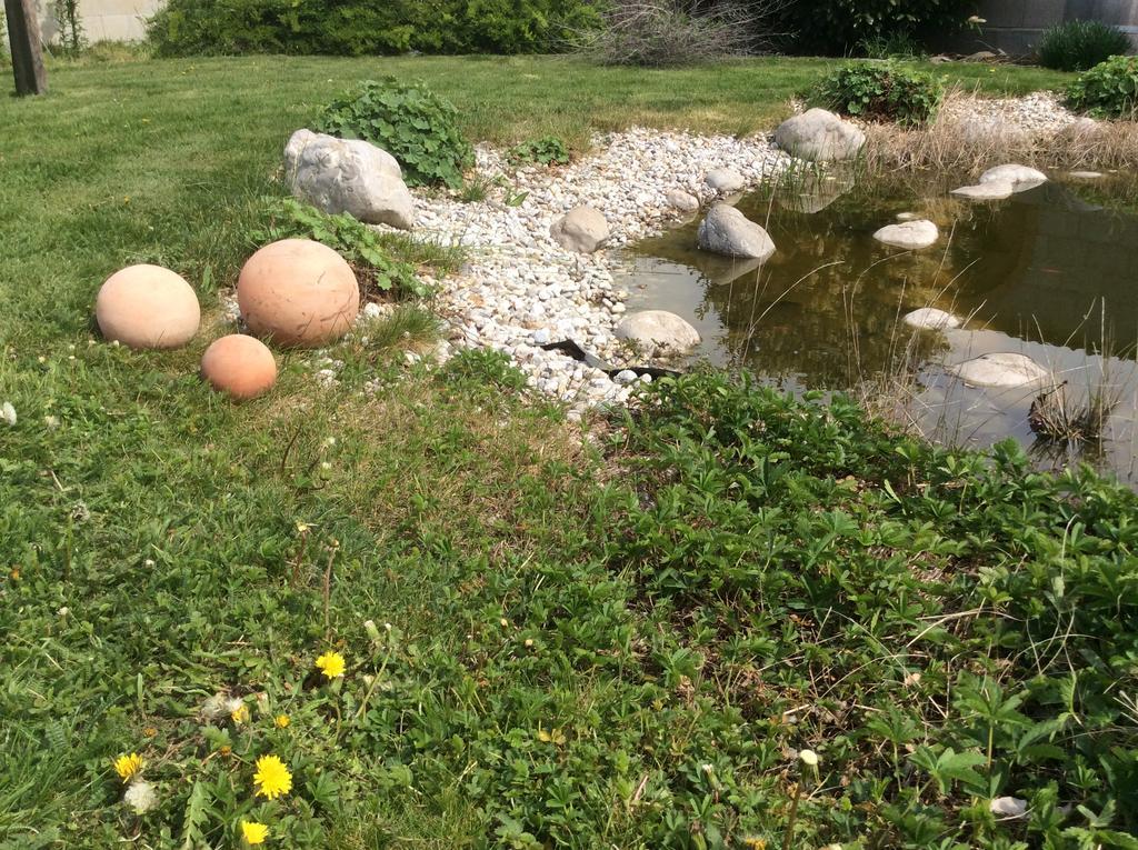 Lakeside Villa Frauenkirchen Dış mekan fotoğraf